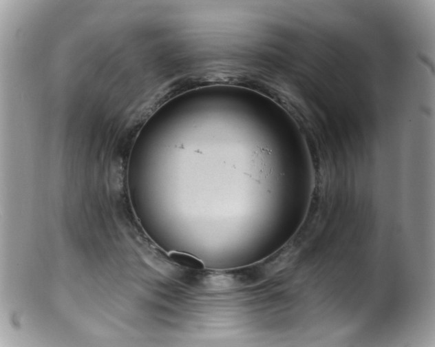 X0000099520413200805151530