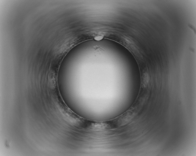 X0000099520414200805151530