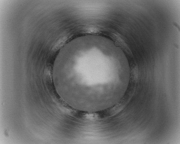 X0000099520415200805151530