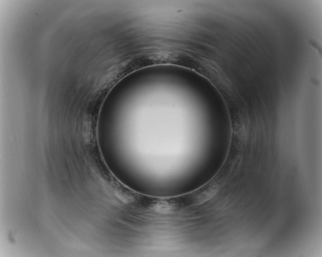 X0000099520416200805151530