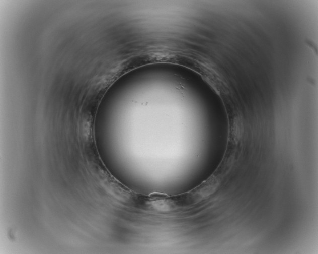 X0000099520417200805151530