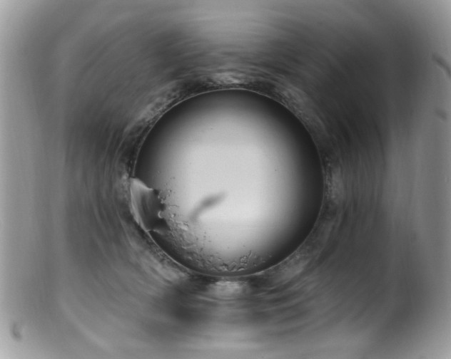 X0000099520418200805151530