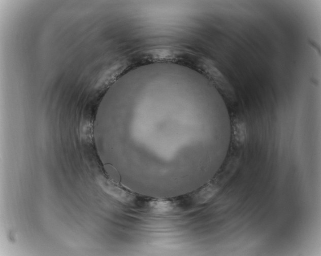 X0000099520419200805151530