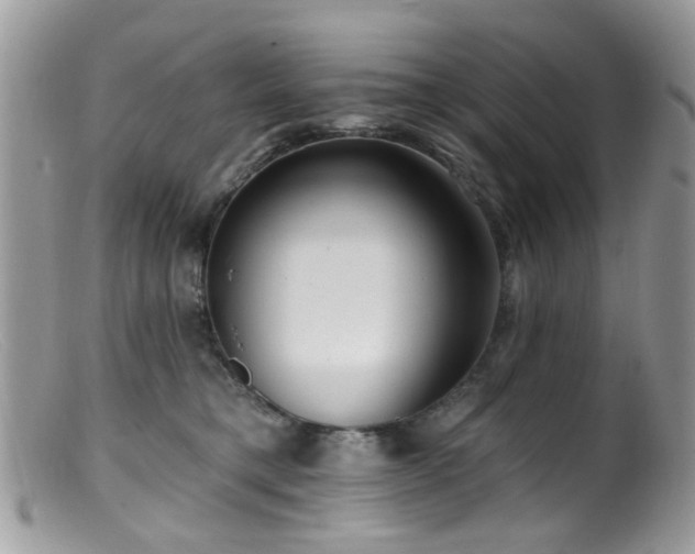 X0000099520421200805151530
