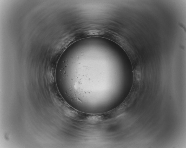 X0000099520422200805151530