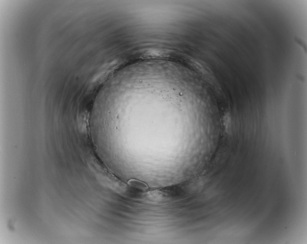 X0000099520423200805151530