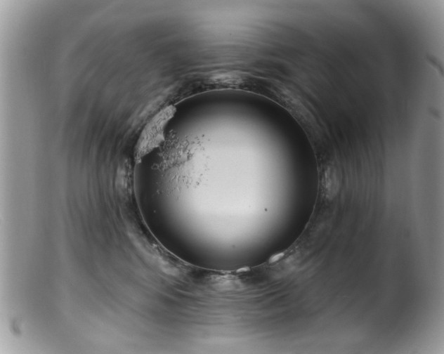 X0000099520424200805151530