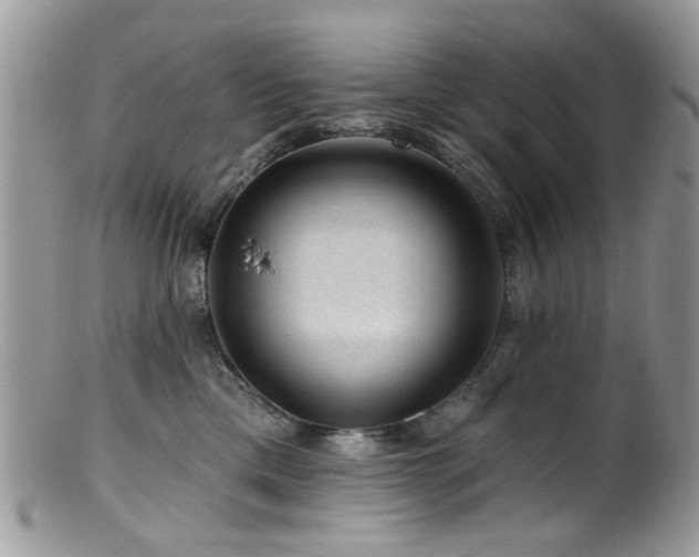 X0000099520425200805151530