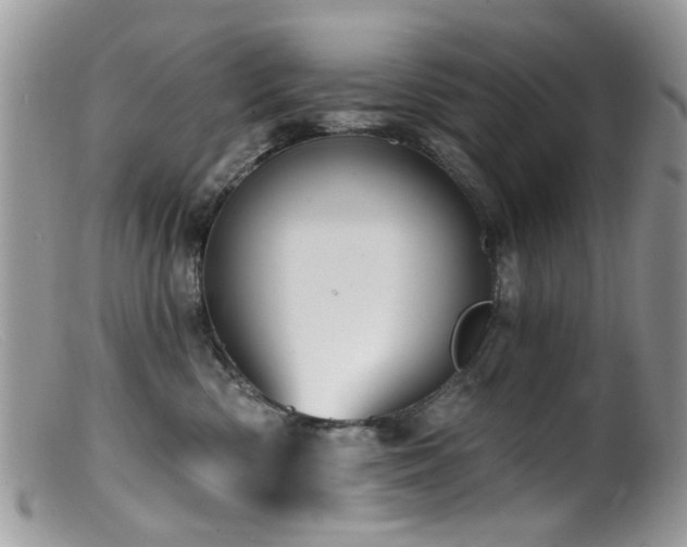X0000099520426200805151530