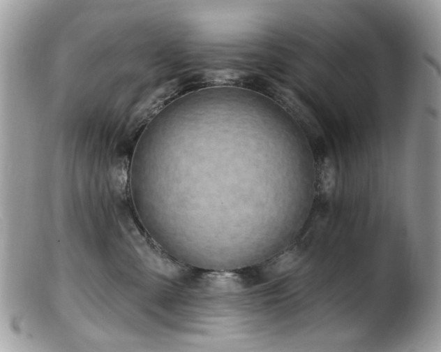 X0000099520427200805151530