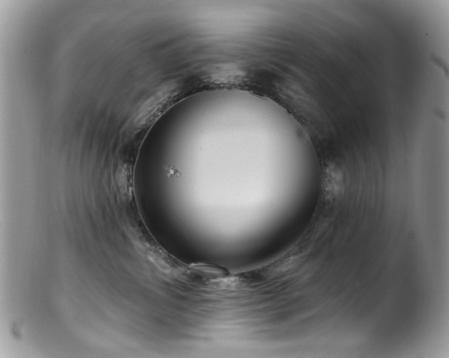 X0000099520428200805151530