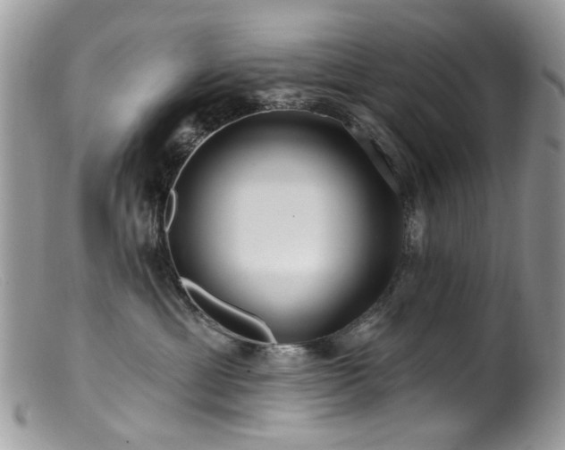 X0000099520429200805151530
