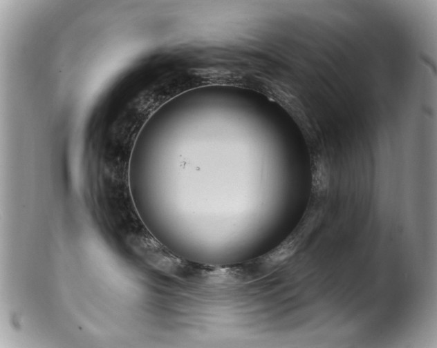 X0000099520430200805151530