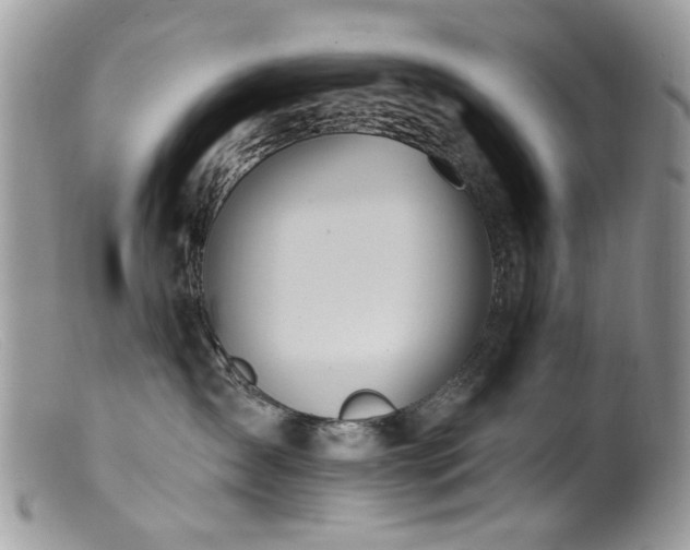 X0000099520431200805151530