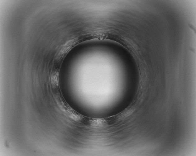 X0000099520432200805151530