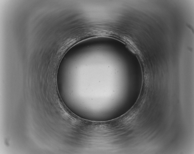 X0000099520433200805151529