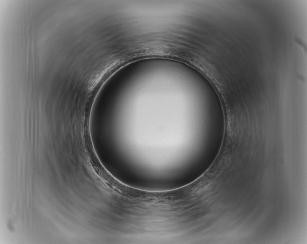X0000099520434200805151529