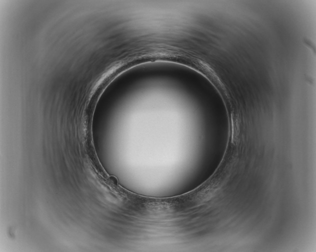 X0000099520435200805151529