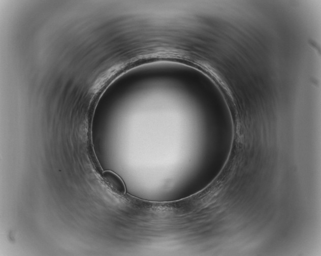 X0000099520437200805151529