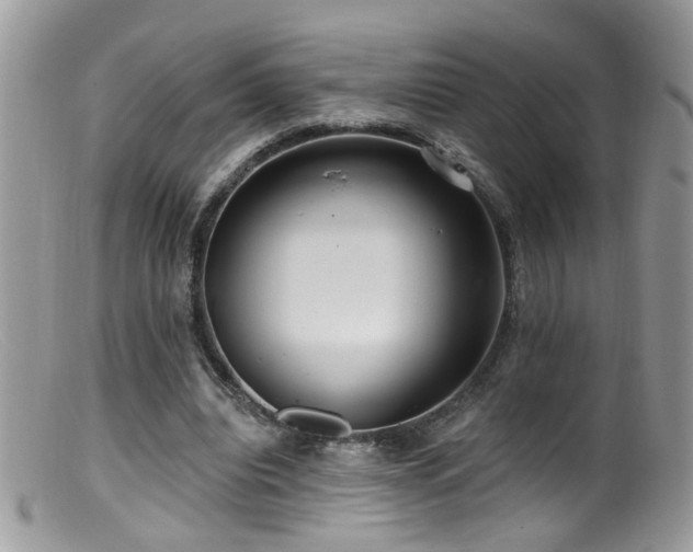 X0000099520440200805151529