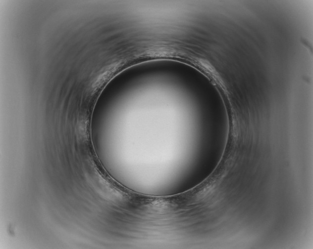 X0000099520441200805151529