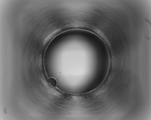 X0000099520442200805151529