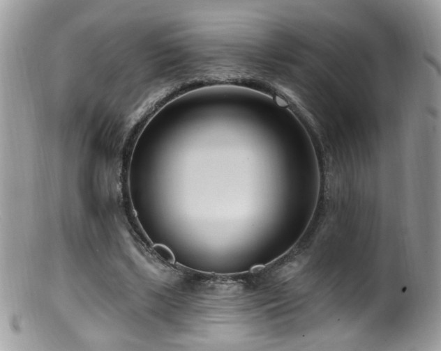 X0000099520443200805151529