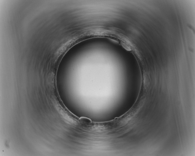 X0000099520445200805151529