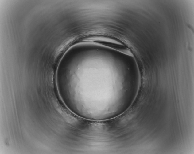 X0000099520446200805151529