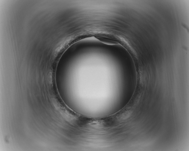 X0000099520447200805151529
