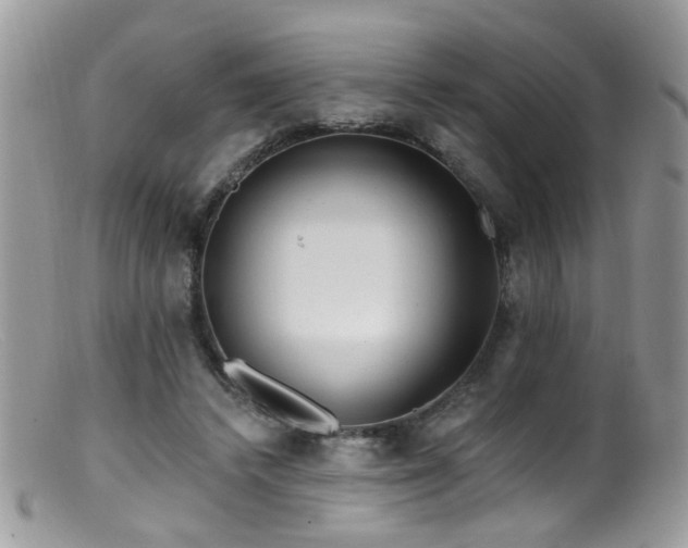 X0000099520448200805151529