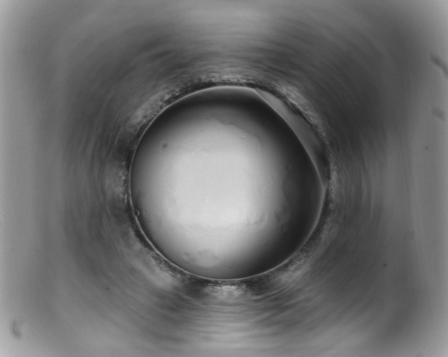 X0000099520449200805151529