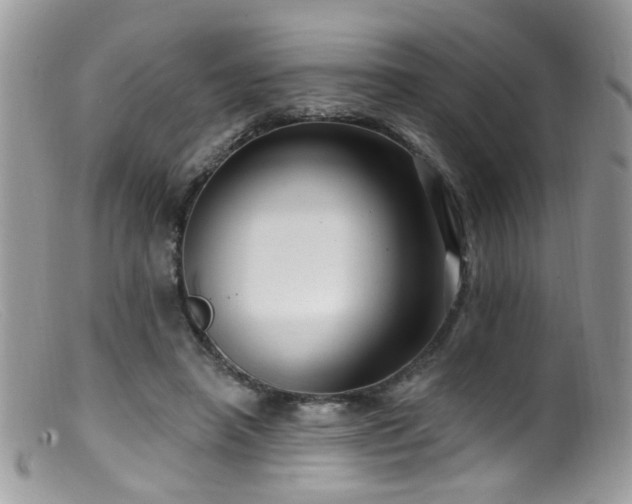X0000099520450200805151529
