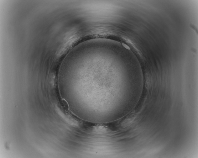 X0000099520451200805151529