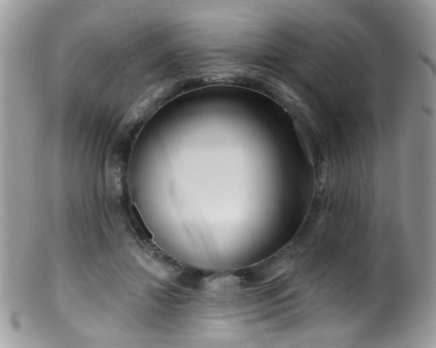 X0000099520452200805151529