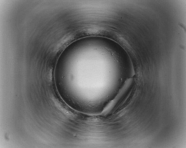 X0000099520454200805151529