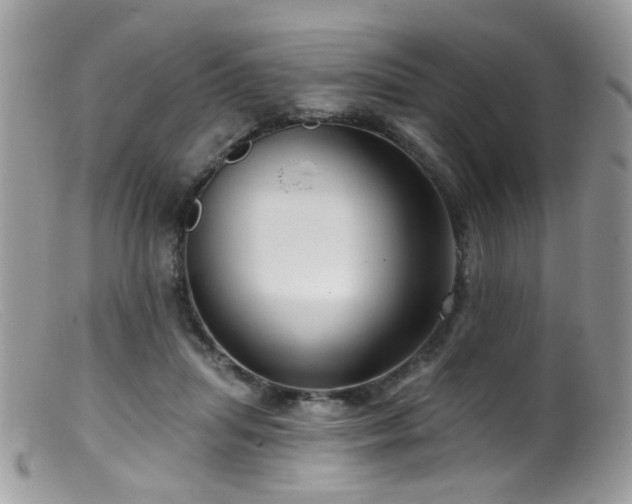 X0000099520455200805151529