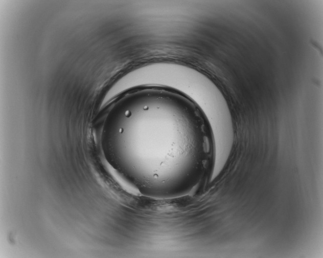 X0000099520456200805151529