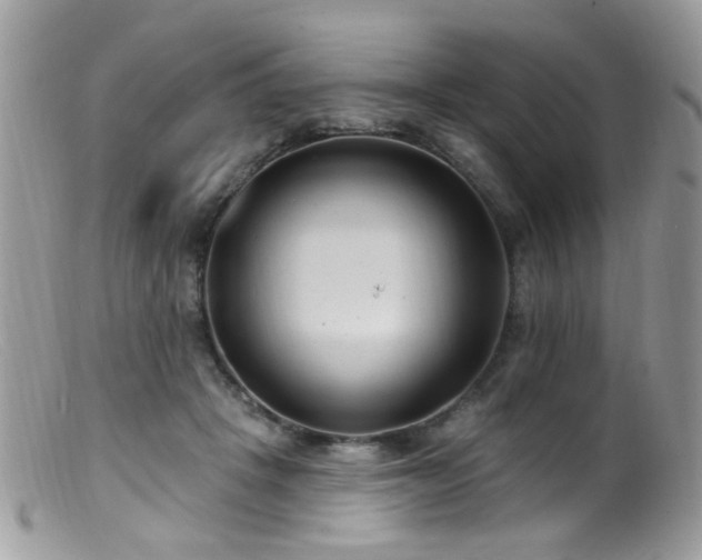 X0000099520457200805151529