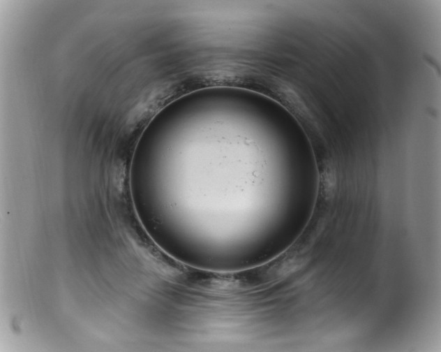 X0000099520458200805151529