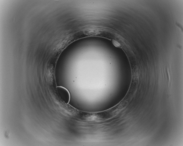 X0000099520460200805151529