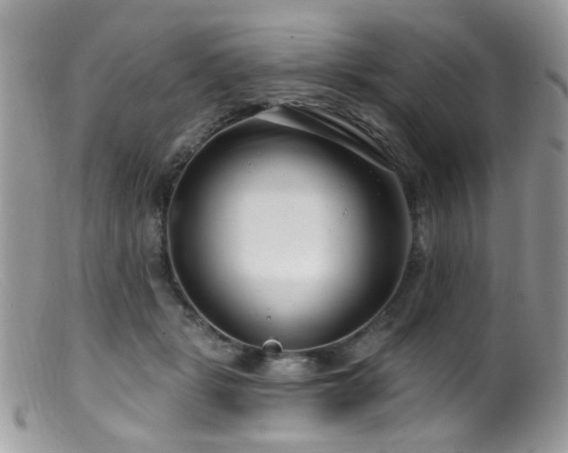 X0000099520461200805151529
