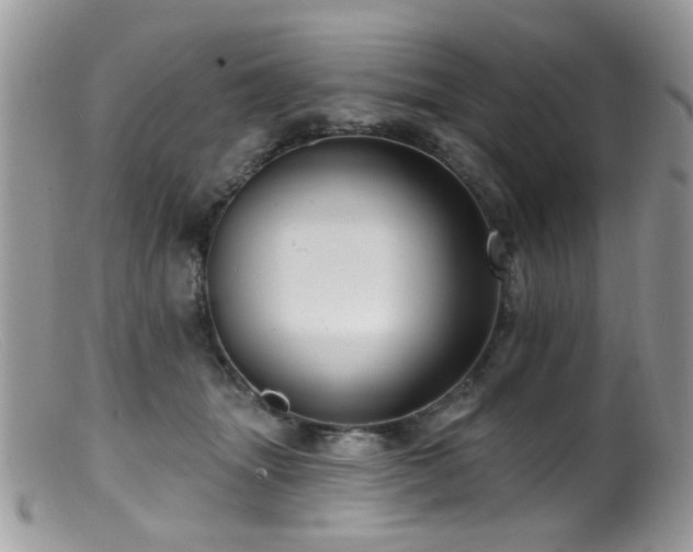 X0000099520463200805151529