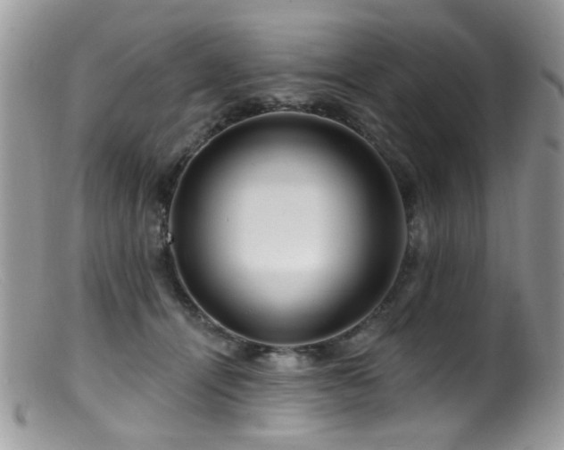 X0000099520464200805151529