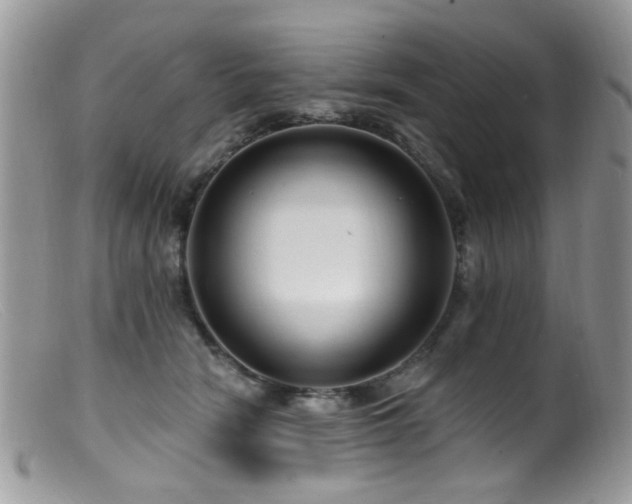 X0000099520466200805151529