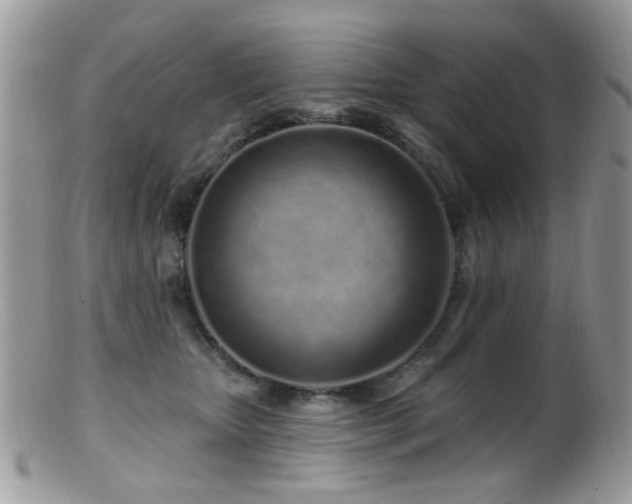 X0000099520467200805151529