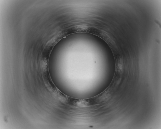 X0000099520468200805151529