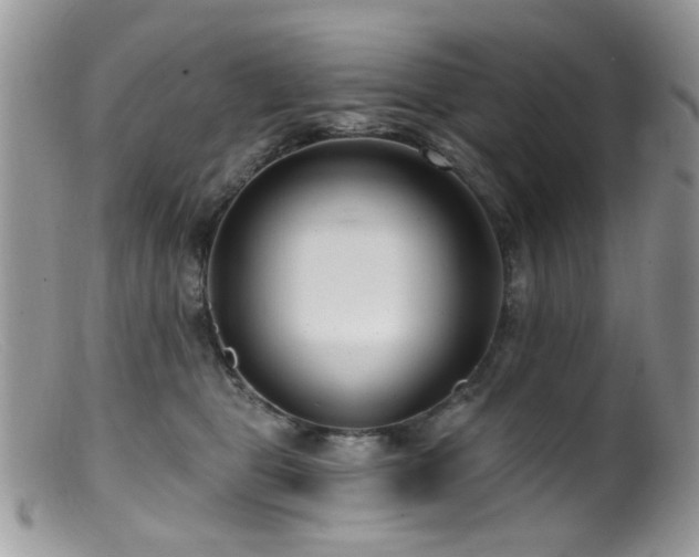 X0000099520469200805151529
