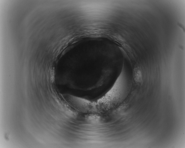 X0000099520471200805151530