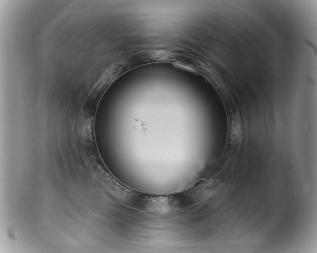 X0000099520473200805151530